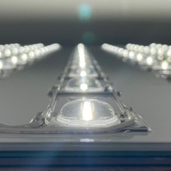 IMG_PEP_SUKURUTO-241002